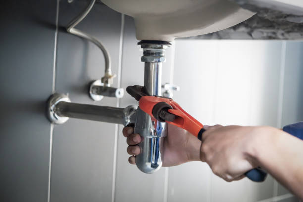Professional Plumbing in Los Angeles, CA